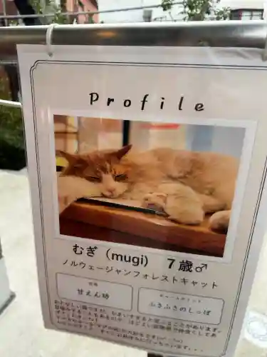 駒込妙義神社(東京都)