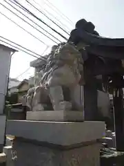 神楽坂若宮八幡神社の狛犬