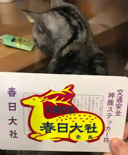 春日大社(奈良県)