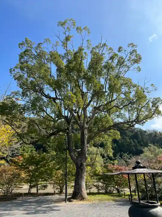 願成寺(福島県)