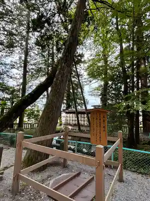 諏訪大社(長野県)