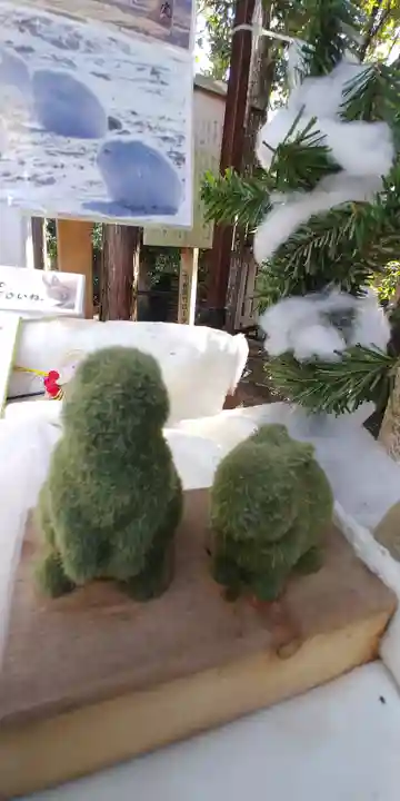 宇治上神社の狛犬