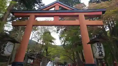 日吉大社の鳥居