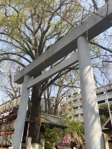 波除神社（波除稲荷神社）の鳥居