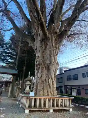 住吉神社(岩手県)