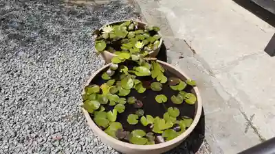 斎田寺(徳島県)