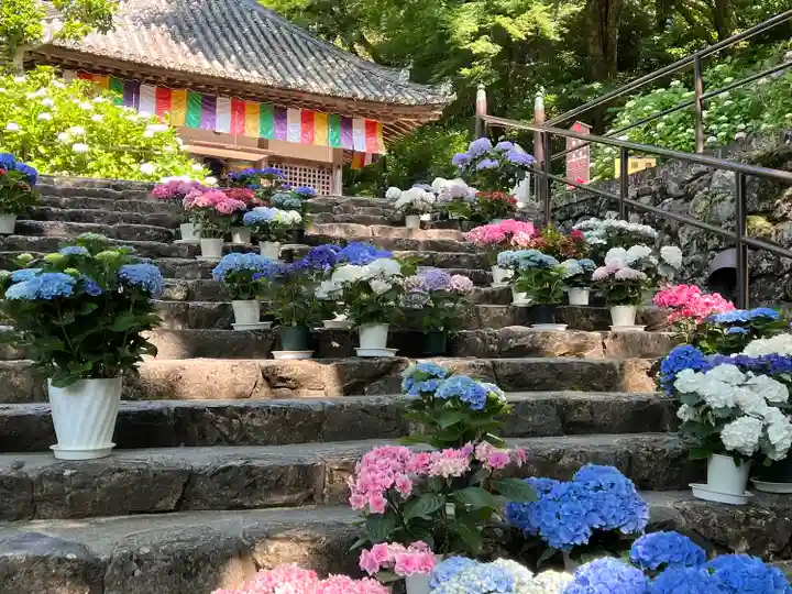長谷寺(奈良県)
