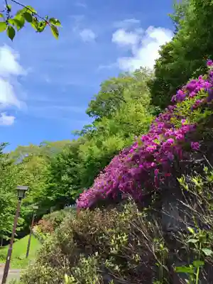 厚別神社(北海道)