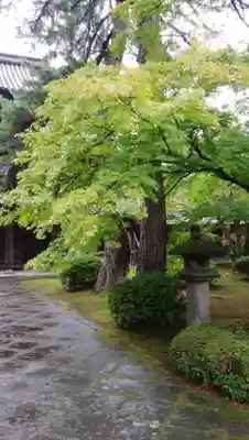 天徳院のその他建物