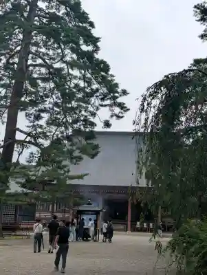毛越寺(岩手県)