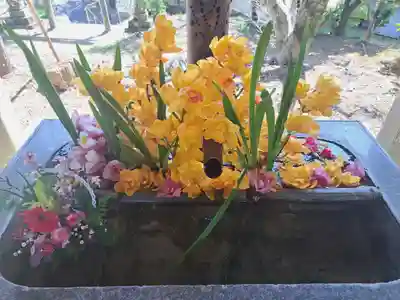 坂本八幡神社(徳島県)