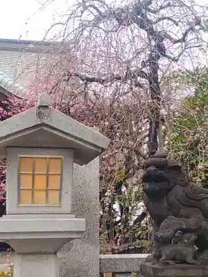 牛天神北野神社(東京都)