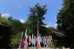 滑川神社 - 仕事と子どもの守り神の景色