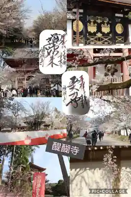 醍醐寺(京都府)