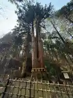 御岩神社の{uncategorized: "未分類", other: "その他", undefined: "問題あり", building: "その他建物", grave: "お墓", sacred_gate: "鳥居", guardian: "狛犬", statue: "像", buddha: "仏像", history: "歴史", nature: "自然", garden: "庭園", animal: "動物", pagoda: "塔", temizu: "手水舎", mountain_gate: "山門・神門", sanctuary: "本殿・本堂", subordinate: "末社・摂社", art: "芸術", scenery: "景色", jizo: "地蔵", ema: "絵馬", goshuin: "御朱印", omikuji: "おみくじ", items: "授与品その他", amulet: "お守り", goshuincho: "御朱印帳", eats: "食事", festival: "お祭り", votive_dance: "神楽", shichigosan: "七五三参", wedding: "結婚式", experience: "体験その他", initially: "初詣", around: "周辺", anti_infection: "感染症対策"}