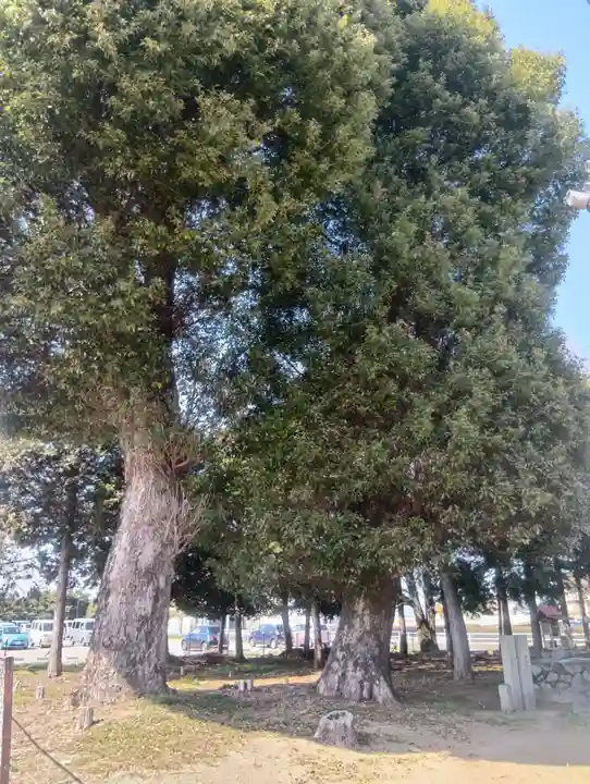 八王子社(愛知県)