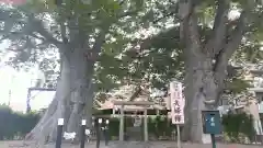 熊野神社の自然