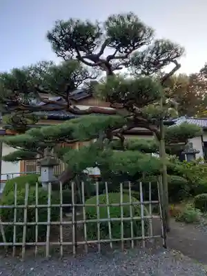 圓満寺(福島県)