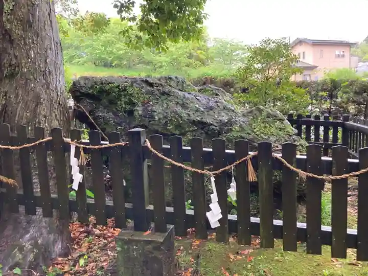 土佐神社の自然