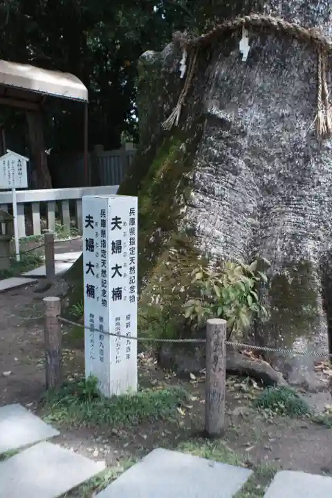 伊弉諾神宮(兵庫県)