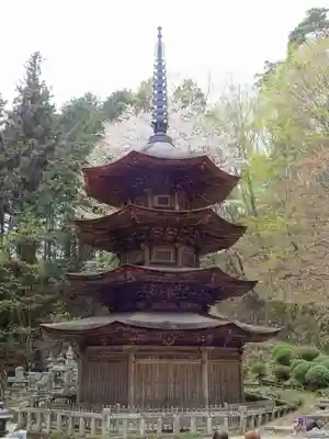 安楽寺の塔