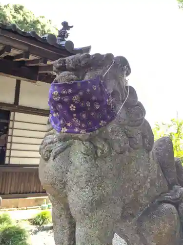 佐野原神社の狛犬