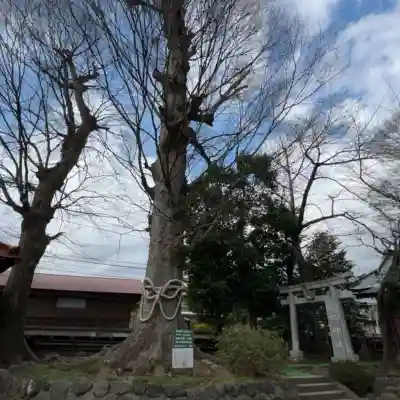 出雲大社相模分祠の{uncategorized: "未分類", other: "その他", undefined: "問題あり", building: "その他建物", grave: "お墓", sacred_gate: "鳥居", guardian: "狛犬", statue: "像", buddha: "仏像", history: "歴史", nature: "自然", garden: "庭園", animal: "動物", pagoda: "塔", temizu: "手水舎", mountain_gate: "山門・神門", sanctuary: "本殿・本堂", subordinate: "末社・摂社", art: "芸術", scenery: "景色", jizo: "地蔵", ema: "絵馬", goshuin: "御朱印", omikuji: "おみくじ", items: "授与品その他", amulet: "お守り", goshuincho: "御朱印帳", eats: "食事", festival: "お祭り", votive_dance: "神楽", shichigosan: "七五三参", wedding: "結婚式", experience: "体験その他", initially: "初詣", around: "周辺", anti_infection: "感染症対策"}