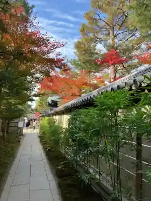 高台寺（高台寿聖禅寺・高臺寺）(京都府)