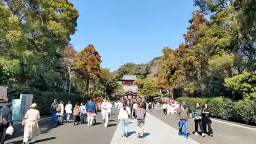 鶴岡八幡宮の景色