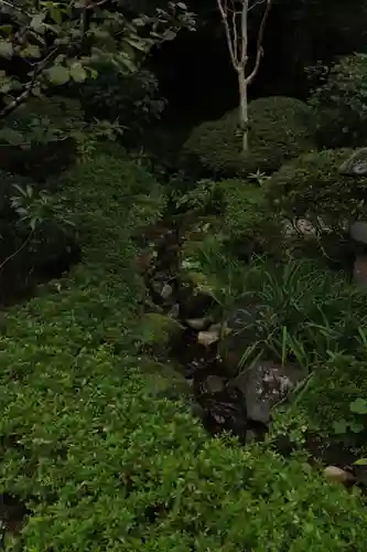 報国寺(神奈川県)