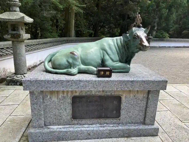 金剛證寺の{uncategorized: "未分類", other: "その他", undefined: "問題あり", building: "その他建物", grave: "お墓", sacred_gate: "鳥居", guardian: "狛犬", statue: "像", buddha: "仏像", history: "歴史", nature: "自然", garden: "庭園", animal: "動物", pagoda: "塔", temizu: "手水舎", mountain_gate: "山門・神門", sanctuary: "本殿・本堂", subordinate: "末社・摂社", art: "芸術", scenery: "景色", jizo: "地蔵", ema: "絵馬", goshuin: "御朱印", omikuji: "おみくじ", items: "授与品その他", amulet: "お守り", goshuincho: "御朱印帳", eats: "食事", festival: "お祭り", votive_dance: "神楽", shichigosan: "七五三参", wedding: "結婚式", experience: "体験その他", initially: "初詣", around: "周辺", anti_infection: "感染症対策"}