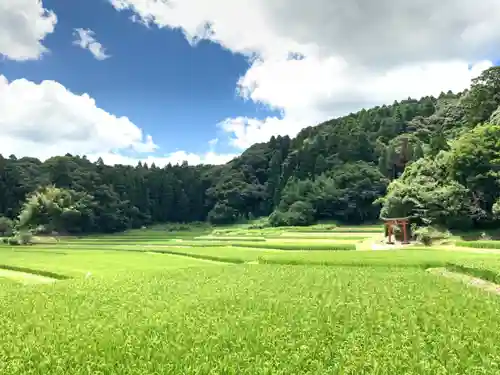 熊野神社の景色