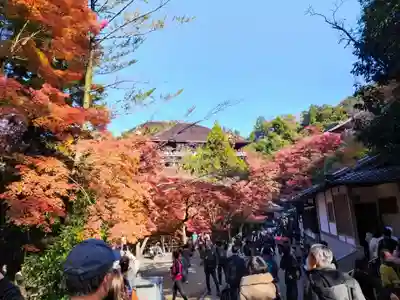 清水寺 音羽の瀧 不動明王(京都府)