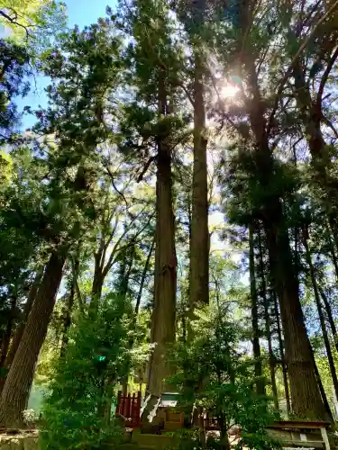 都々古別神社(八槻)(福島県)
