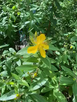 光照寺(愛知県)