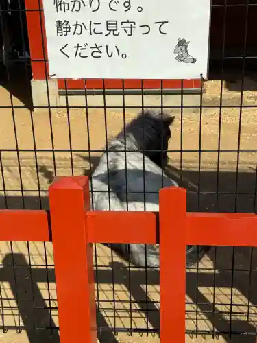 神田神社（神田明神）の{uncategorized: "未分類", other: "その他", undefined: "問題あり", building: "その他建物", grave: "お墓", sacred_gate: "鳥居", guardian: "狛犬", statue: "像", buddha: "仏像", history: "歴史", nature: "自然", garden: "庭園", animal: "動物", pagoda: "塔", temizu: "手水舎", mountain_gate: "山門・神門", sanctuary: "本殿・本堂", subordinate: "末社・摂社", art: "芸術", scenery: "景色", jizo: "地蔵", ema: "絵馬", goshuin: "御朱印", omikuji: "おみくじ", items: "授与品その他", amulet: "お守り", goshuincho: "御朱印帳", eats: "食事", festival: "お祭り", votive_dance: "神楽", shichigosan: "七五三参", wedding: "結婚式", experience: "体験その他", initially: "初詣", around: "周辺", anti_infection: "感染症対策"}