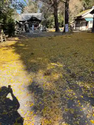 網戸神社(栃木県)