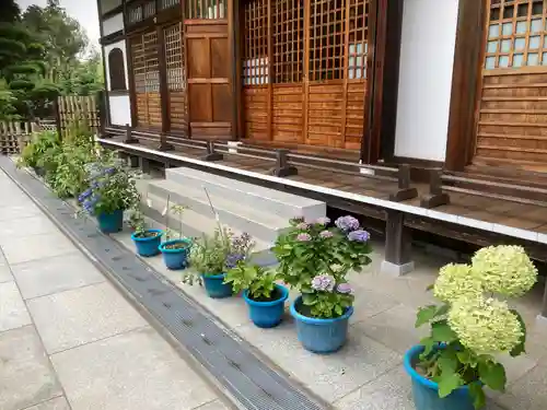 松嶺院(神奈川県)