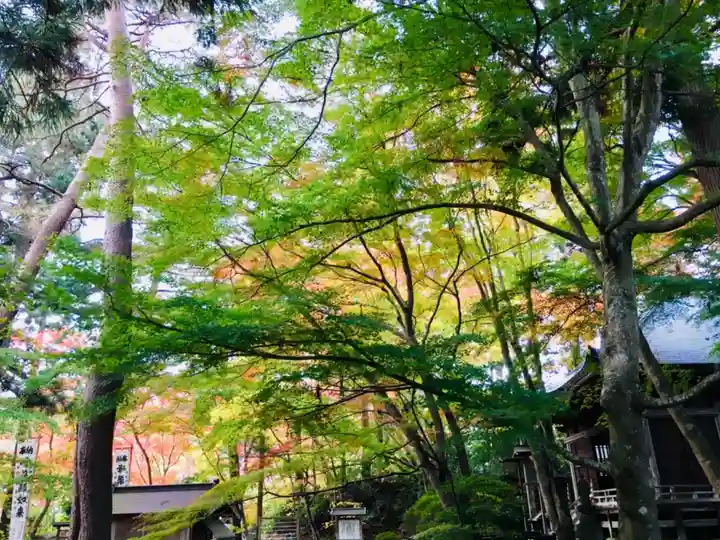 中尊寺本堂の庭園