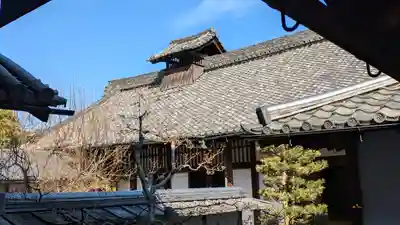 隨心院(随心院)(京都府)