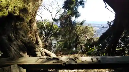 阿波々神社の周辺