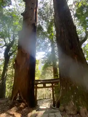 継桜王子(和歌山県)