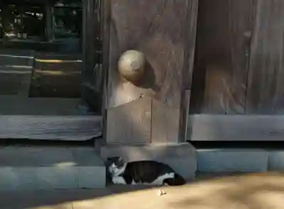 泉龍寺のその他建物