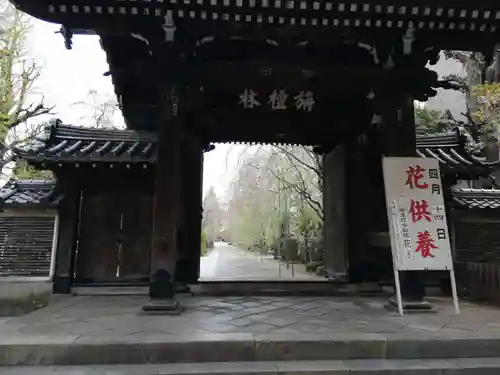 吉祥寺の山門