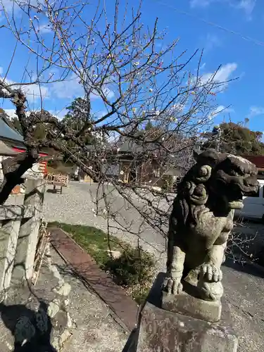 矢奈比賣神社（見付天神）の狛犬