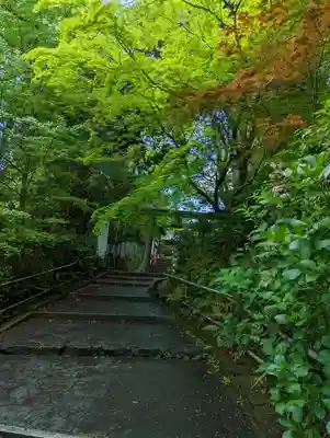 長岡天満宮(京都府)