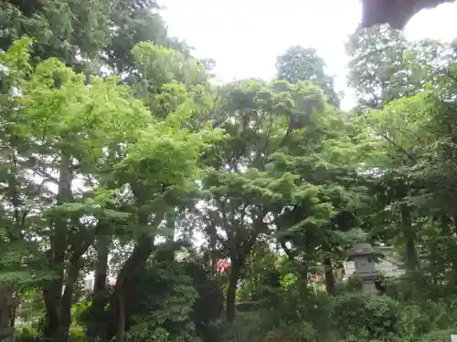 龍華寺(神奈川県)