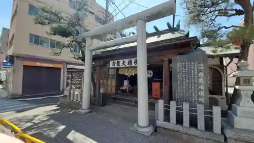 白龍権現神社の鳥居