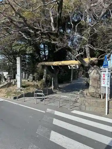 越ヶ谷久伊豆神社(埼玉県)