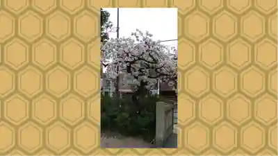 尾久八幡神社(東京都)